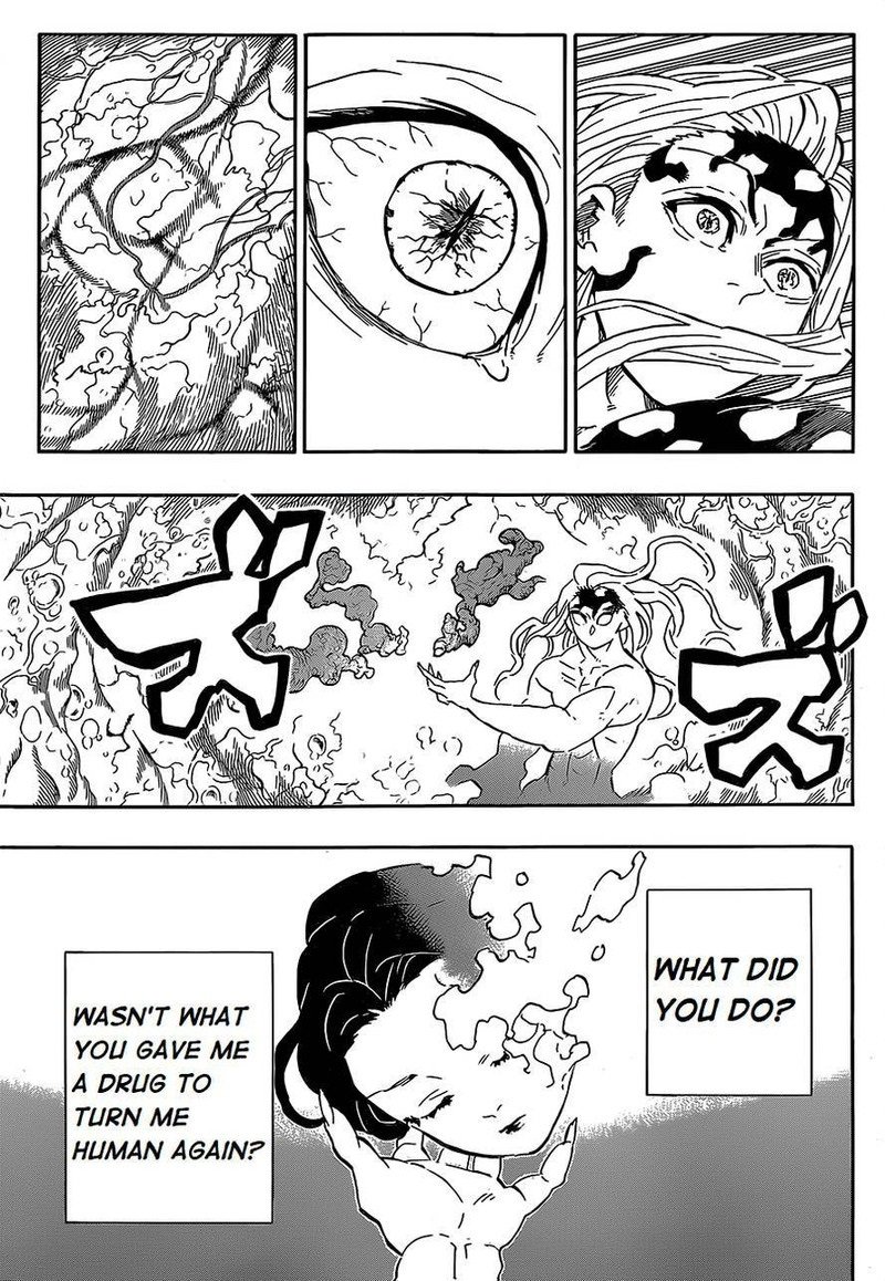 Demon Slayer Chapter 193 - Page